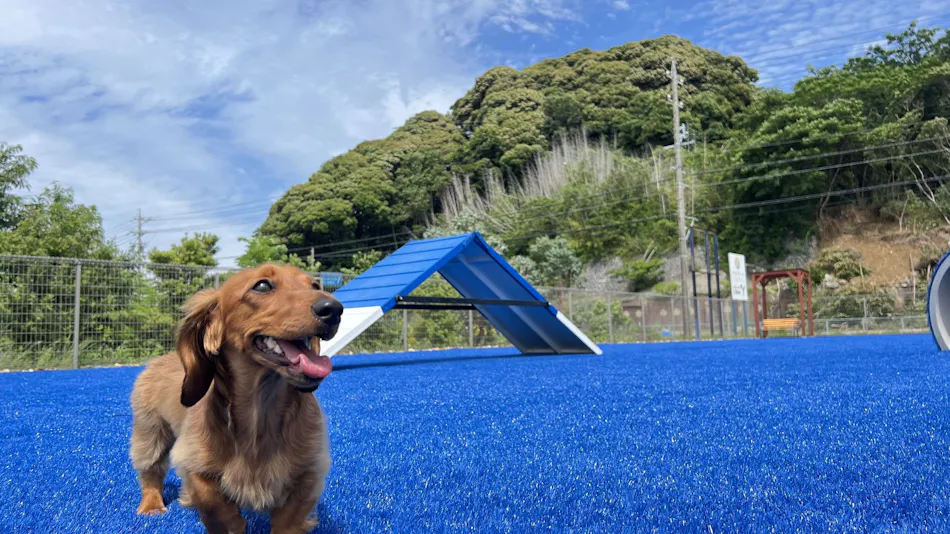 Wan Wan Paradise Hamanako