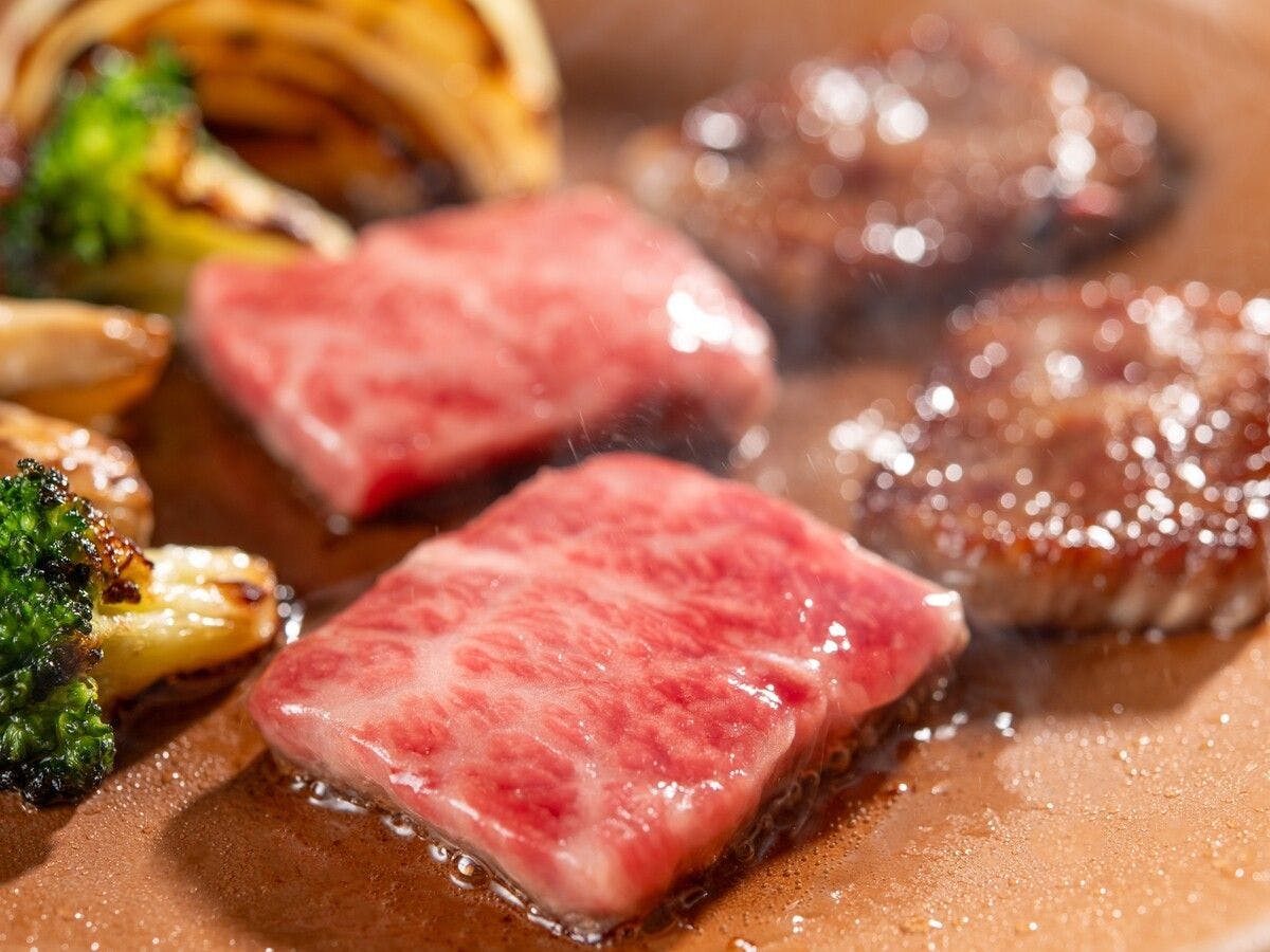 わんわんパラダイス 浜名湖（旧：浜名湖わんわんパラダイス ホテル）