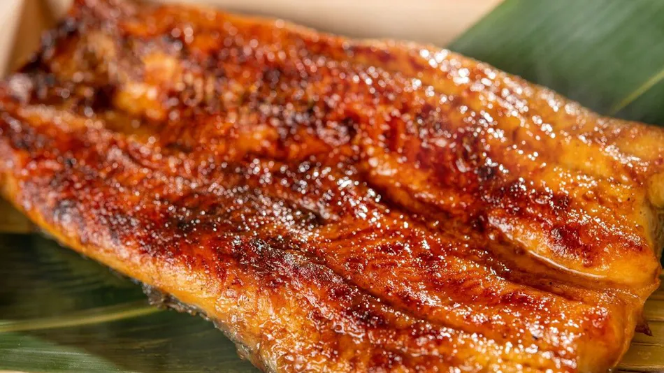 Wan Wan Paradise Hamanako