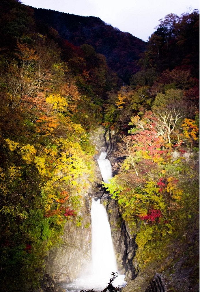 【ฤดูใบไม้ร่วง】น้ำตกอาคามิซุ ไฟประดับ - พฤศจิกายน 2016