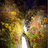【秋】赤水の滝ライトアップ 2016年11月