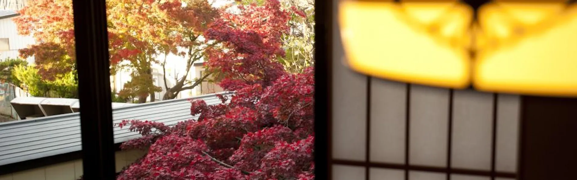 花禅の庄