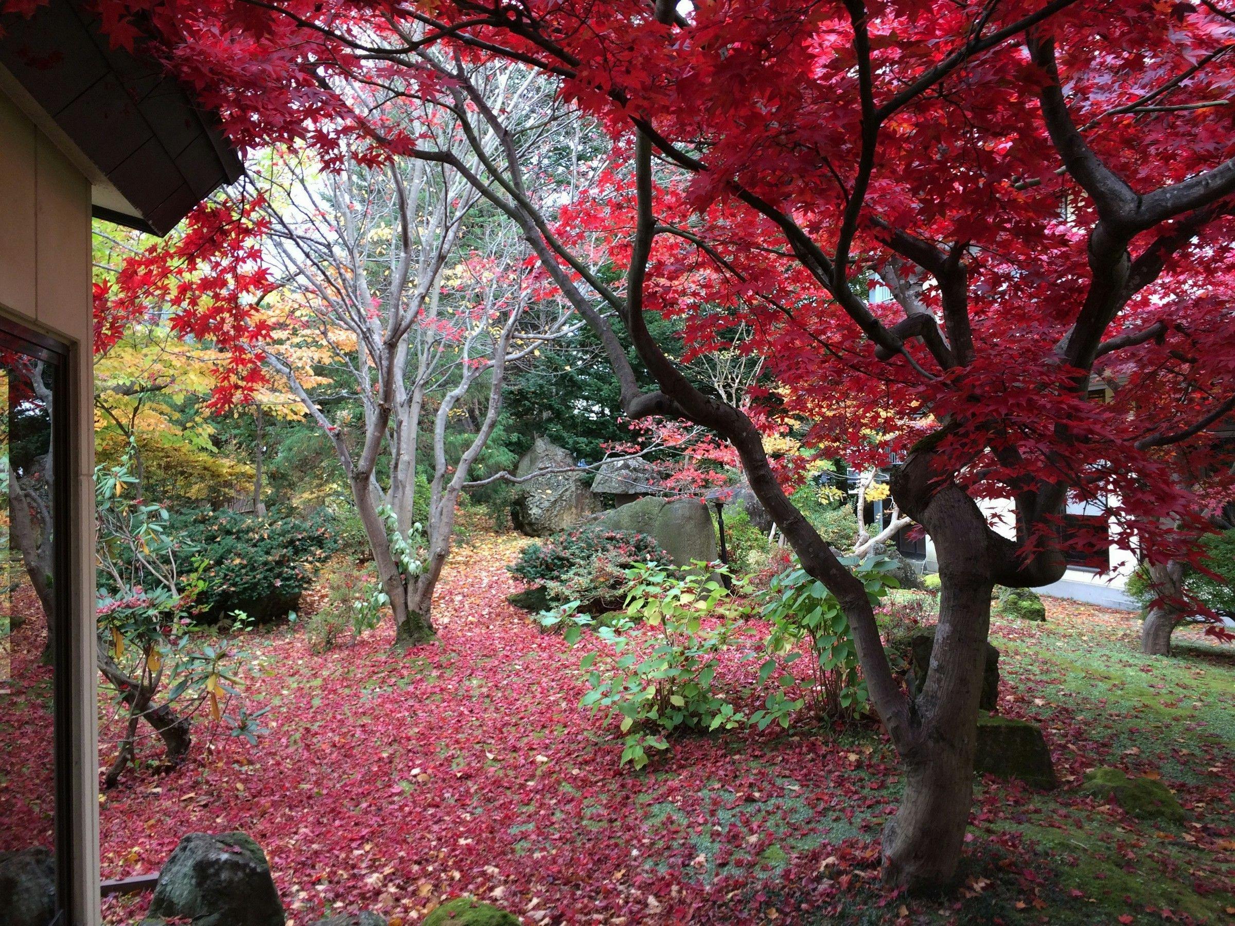 花禅の庄