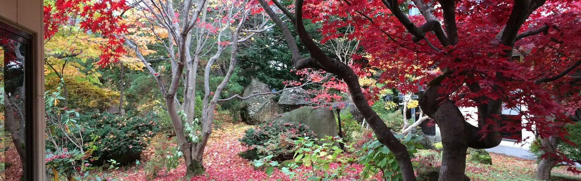 花禅の庄