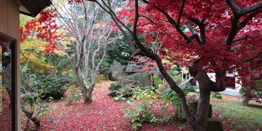 花禅の庄