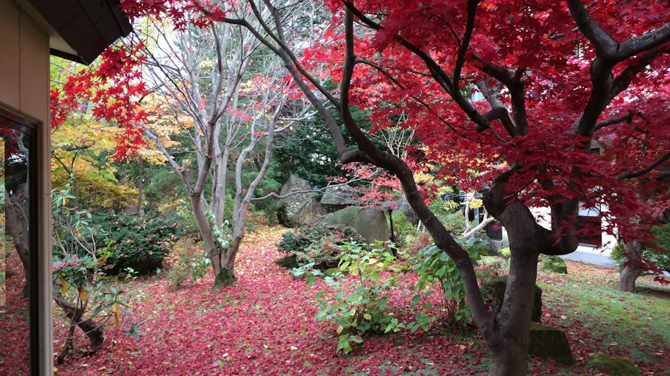 Kazeno Sho