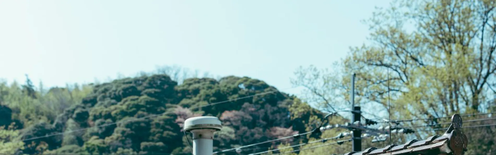 旅館ますや