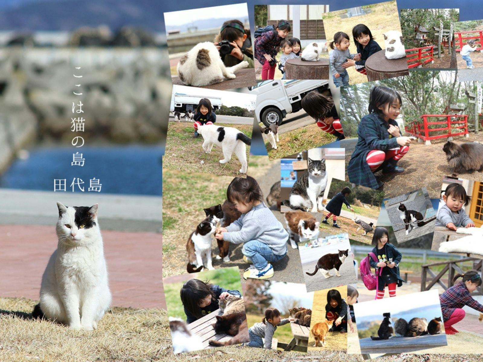 島周の宿 さか井