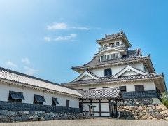 In spring, 900 Somei Yoshino cherry trees bloom in full glory.
