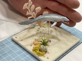 勝山東急リゾート　ホテルハーヴェストスキージャム勝山 3枚目