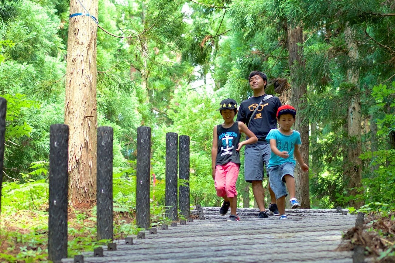 Jelajahi Taman Hutan Katsuyama