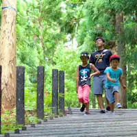 Jelajahi Taman Hutan Katsuyama