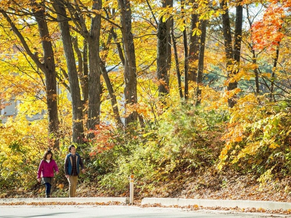 เพลิดเพลินกับใบไม้เปลี่ยนสีพร้อมกับเดินเล่นในย่านน้ำพุร้อนอย่างสบายใจ