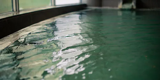 Takamiya Rurikura Resort