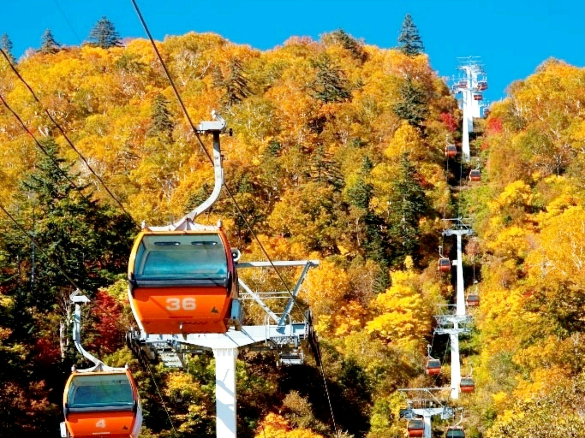 札幌國際滑雪場