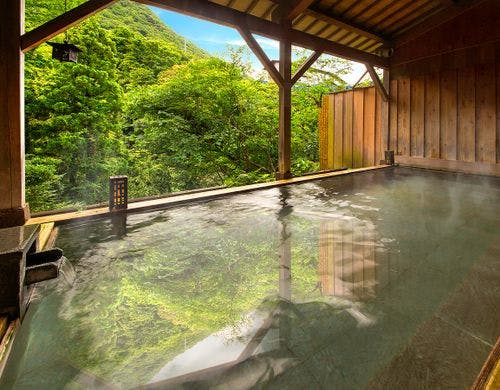 お花見久兵衛 季節のおすすめ 特別料金 当館最安値 基本プラン 梅 が1000円off お日にち限定 一番人気のゆったり寛げる和のしつらえ 花庄庵12 5畳 禁 一休 Com