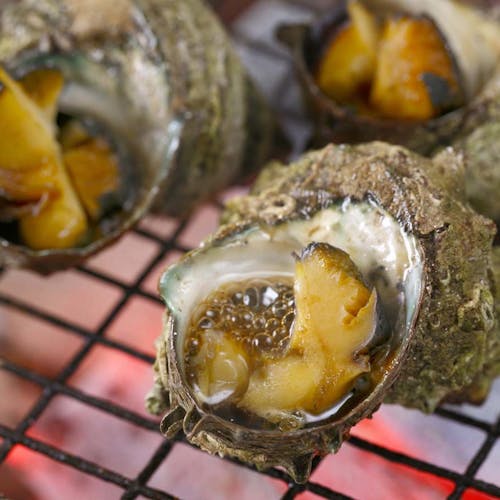 長岡市立科学博物館の宿で アワビ をご紹介 最上のひとときをどうぞ 一休 Com 長岡市立科学博物館の宿で アワビ をご紹介 最上のひとときをどうぞ 一休 Com