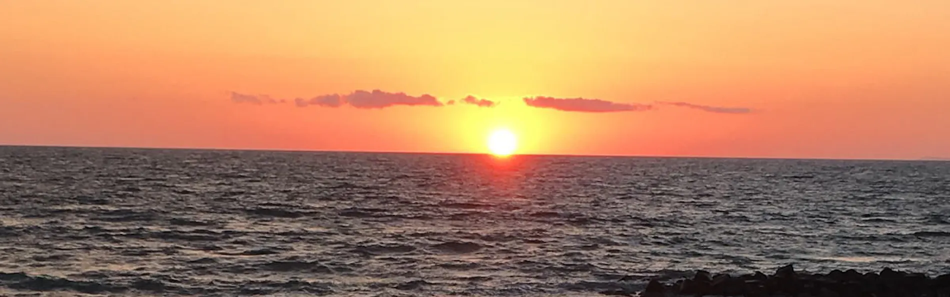 寺泊海岸つわぶき温泉 美味探究の宿 住吉屋