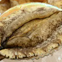 料理長厳選【最高食材】~あわび~