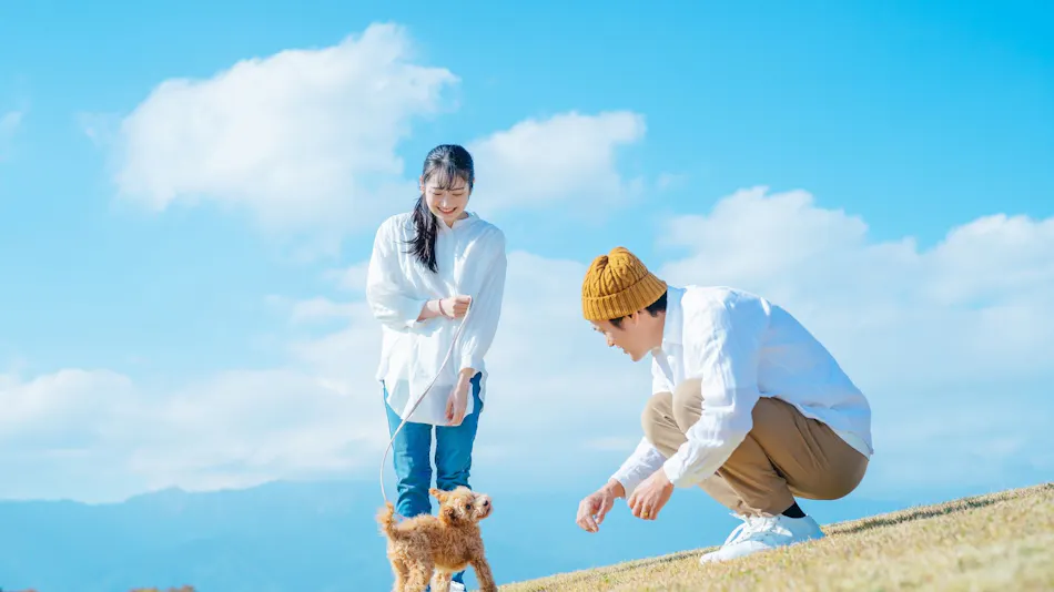 "Sky Paradise: Kurumayama Kogen Sky Park Hotel"