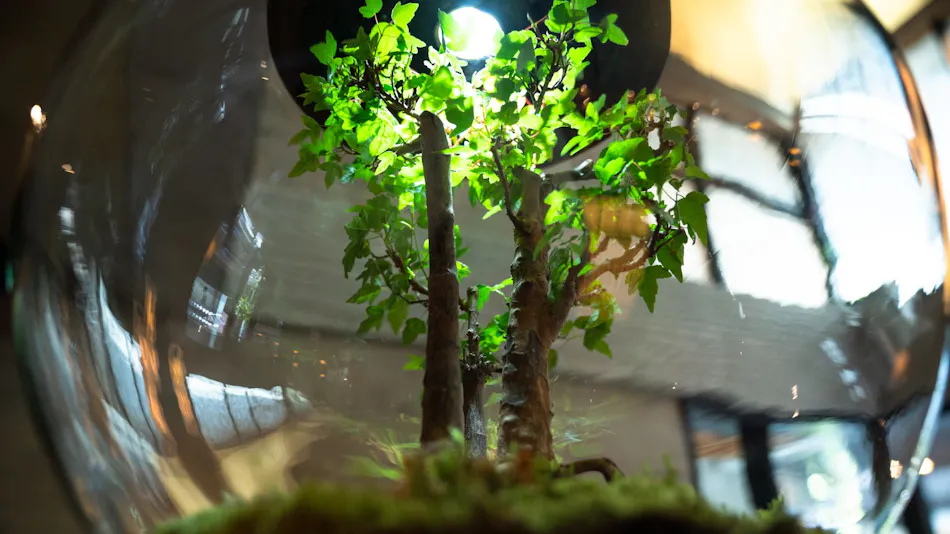 Genji Kyoto