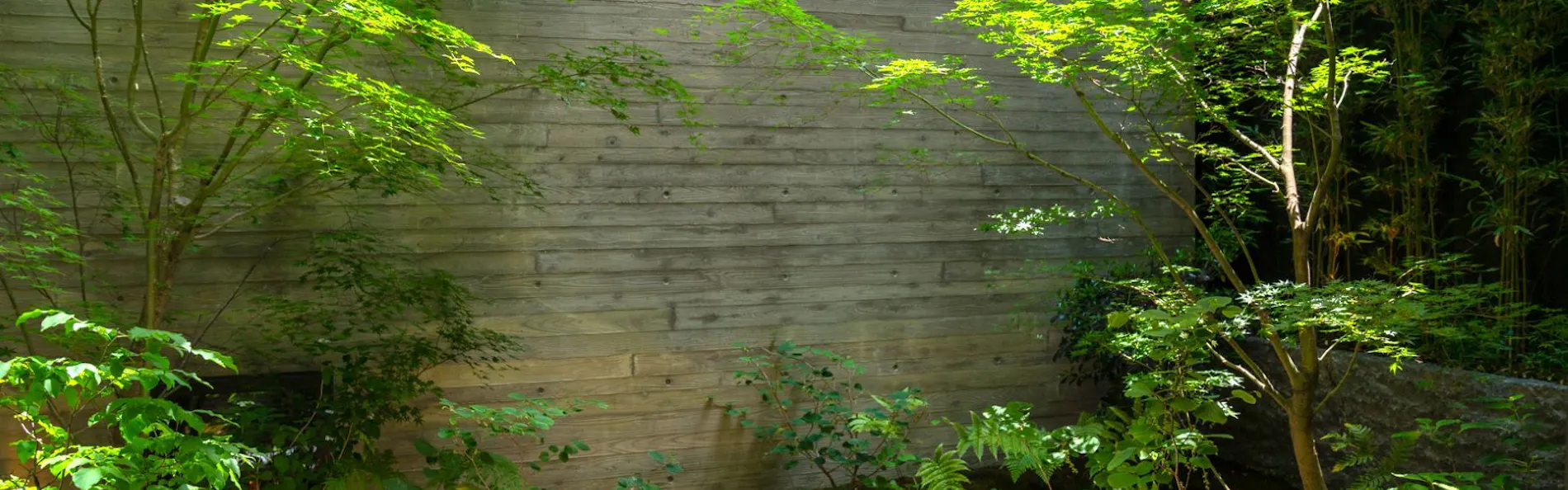 Genji Kyoto