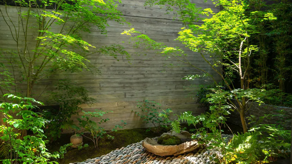Genji Kyoto