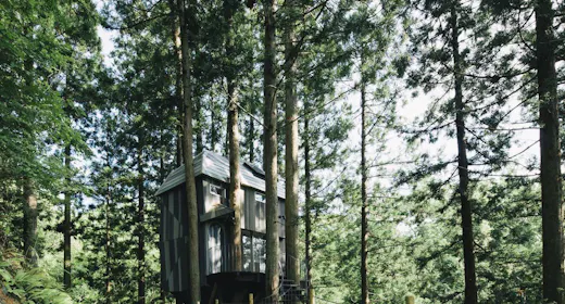 森の隠れ家「Treehouse」