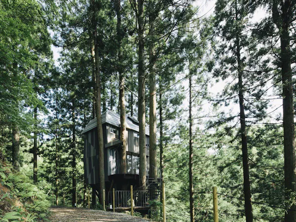 森の隠れ家「Treehouse」