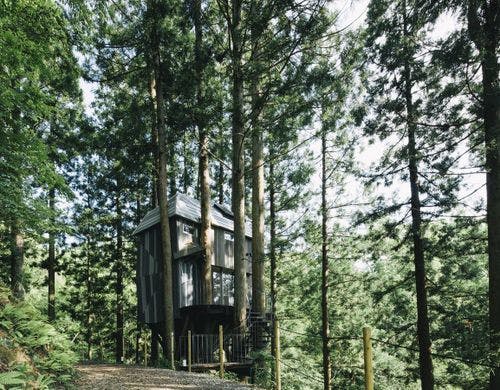 森の隠れ家「Treehouse」