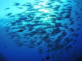 リゾートホテル久米アイランド