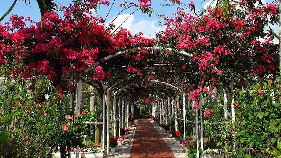 Watermark Hotel Okinawa Kume Island