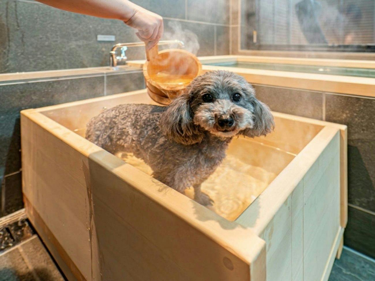エンゼルフォレスト那須