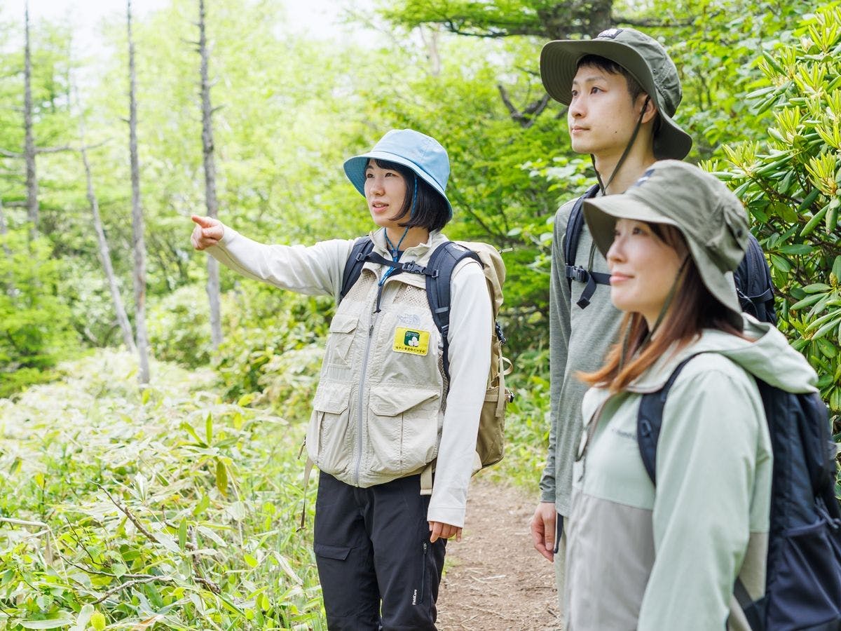 高峰マウンテンホテル