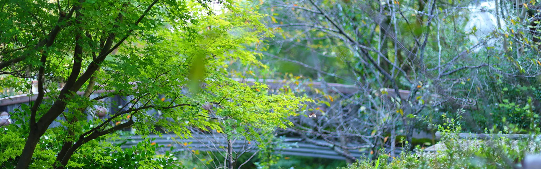 満天ノ 辻のや