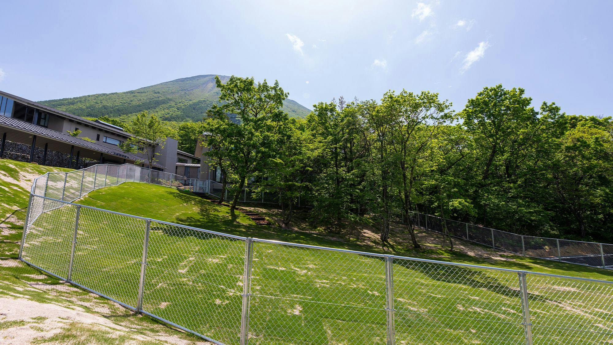 屋外ドッグラン（全犬種利用可）