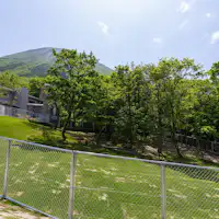 屋外ドッグラン(全犬種利用可)
