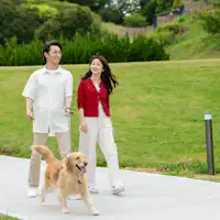 【Jalur jalan-jalan di dalam area properti】