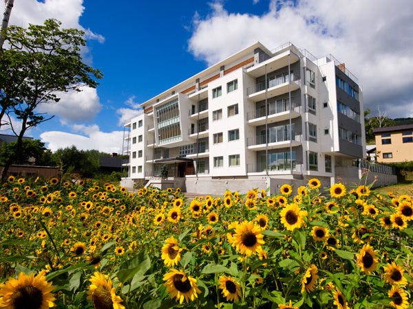 ひまわりに囲まれたヨウテイトラックス