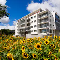 ひまわりに囲まれたヨウテイトラックス