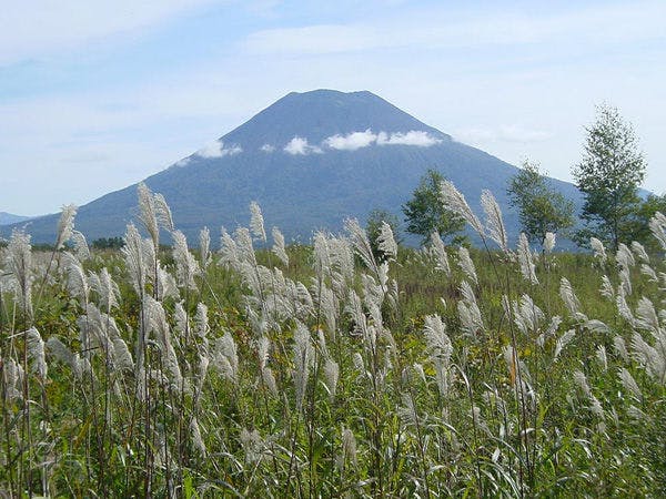 ニセコセントラル ヨウテイトラックス の宿泊プラン 予約 Yahoo トラベル