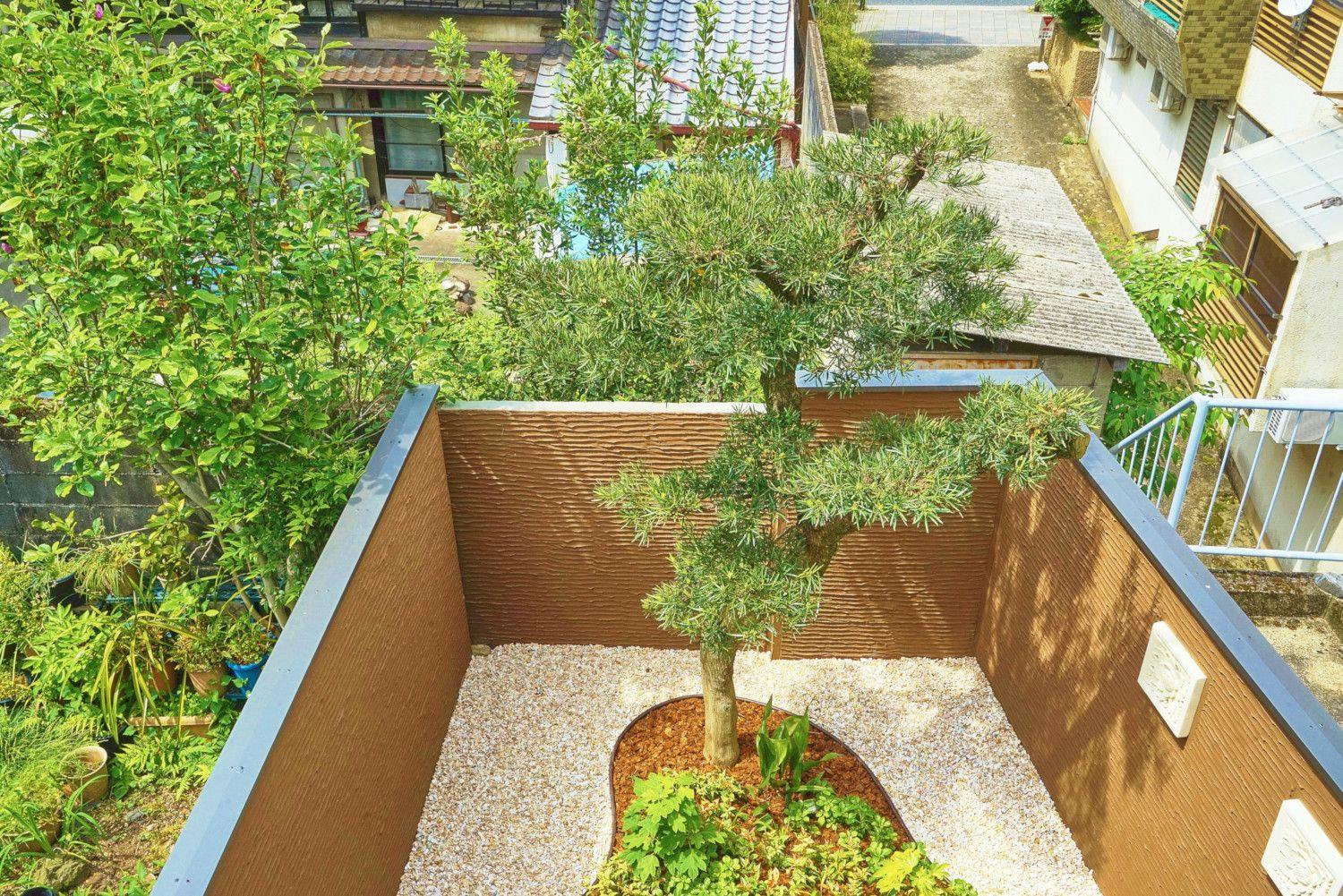 ต้นไม้ที่มีอายุกว่า 100 ปีในลานกลางยังคงอยู่เหมือนเดิม