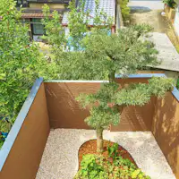 ต้นไม้ที่มีอายุกว่า 100 ปีในลานกลางยังคงอยู่เหมือนเดิม