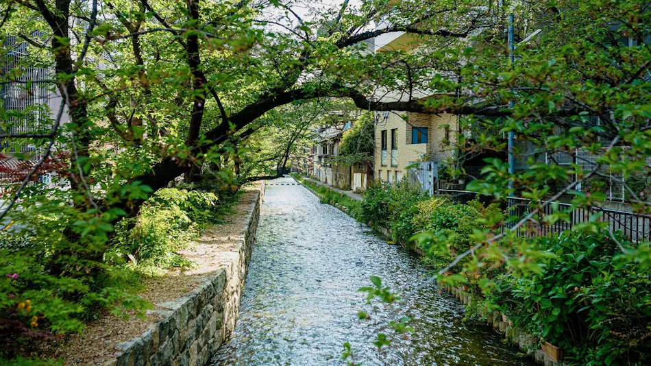 Hanagoromo - Private Townhouse Rental