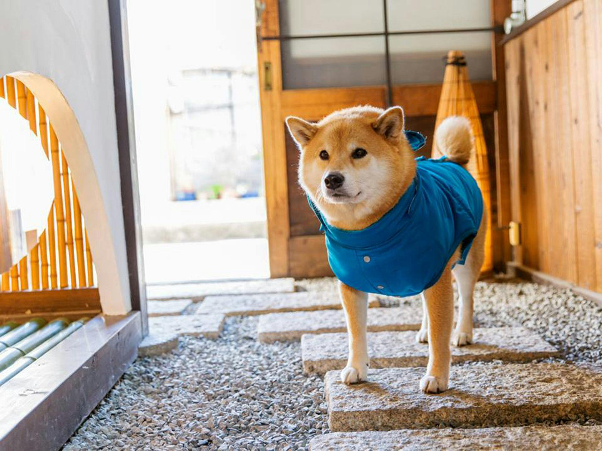 nao炬乃座　別邸梅小路