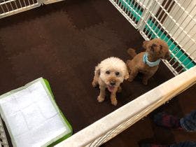 ｎａｏ炬乃座　別邸梅小路