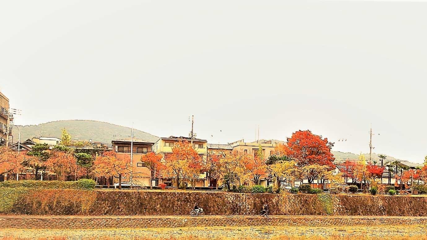 Shirasagi Kyoto（京宿しらさぎ）