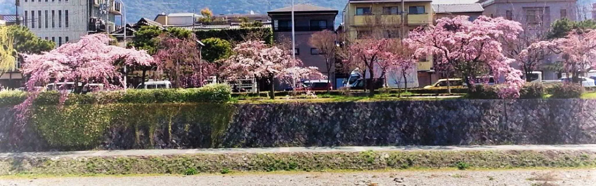 Shirasagi Kyoto(京宿しらさぎ)
