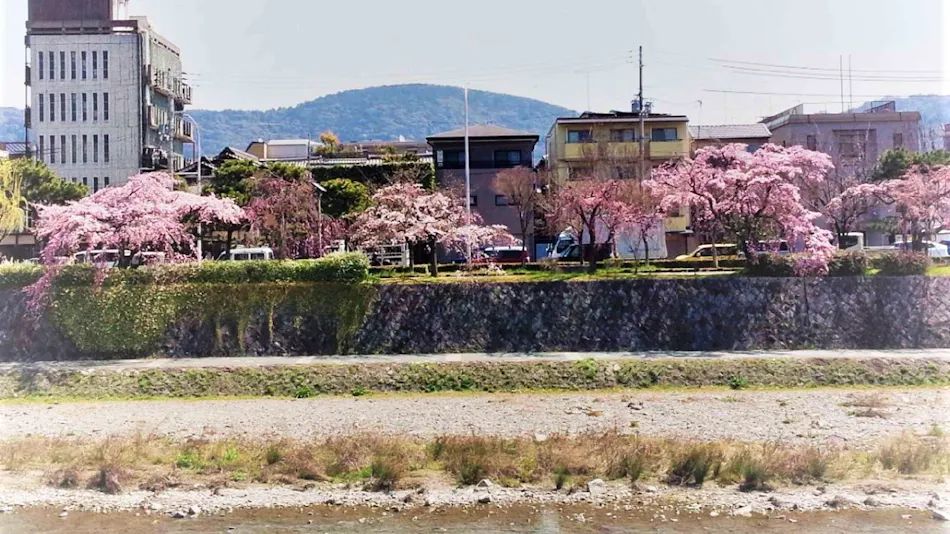 Shirasagi Kyoto (Kyoyado Shirasagi)
