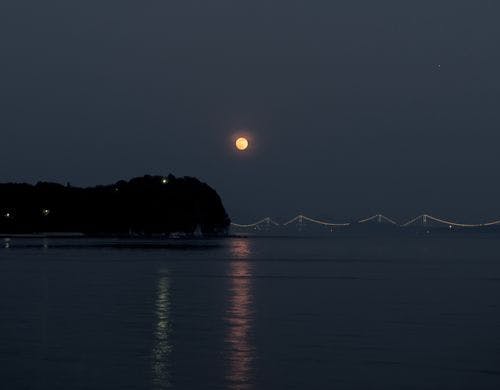 部屋からは海が一望。満月の夜には目の前に